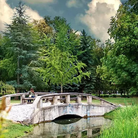 Sziget *
