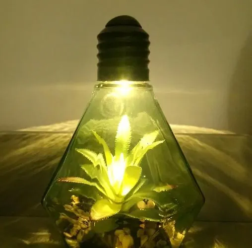 Sziget Apartment Erlau